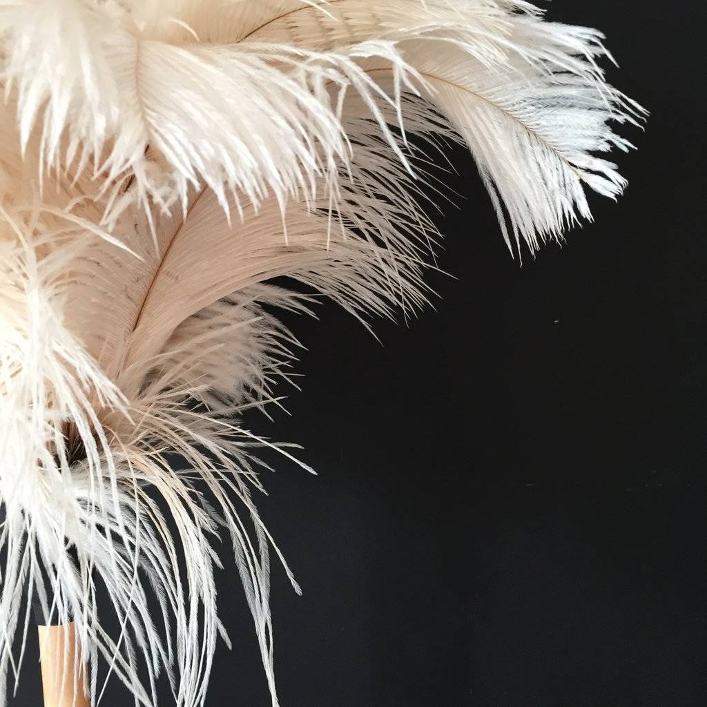 ostrich feather dusters by housekeeping