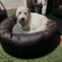 Vegan Leather Donut Dog Bed With Sherpa Fleece Cushion, thumbnail 2 of 12