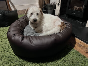 Vegan Leather Donut Dog Bed With Sherpa Fleece Cushion, 2 of 12
