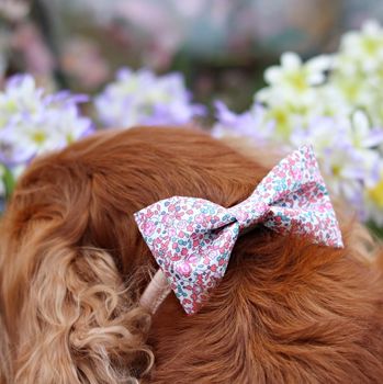 Pink Liberty Print Dog Bow Tie, 3 of 4