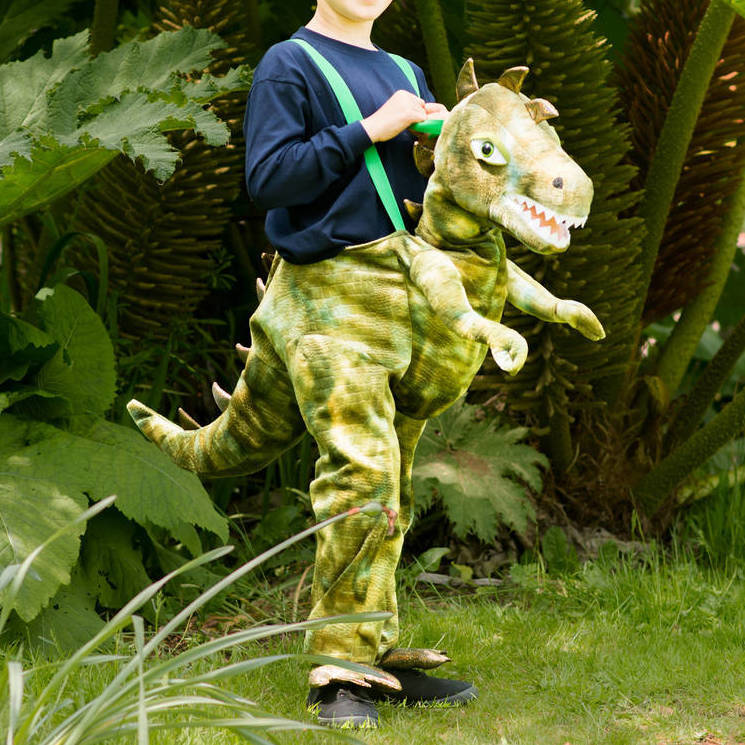 Ride In Dinosaur Costume