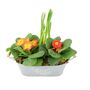 Primrose And Tete A Tete Spring Flower Trough, thumbnail 2 of 4