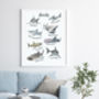 Sharks Of The Oceans Illustrated Watercolour Art Print, thumbnail 2 of 4
