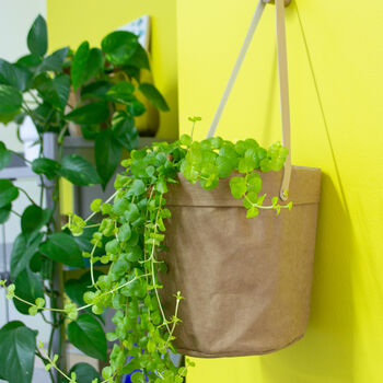 Brown Hanging Paper And Leather Planter Or Storage Bag, 4 of 12