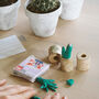 Let’s Grow Crazy Cactuses Kit, thumbnail 3 of 3