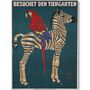 Vintage Munich Zebra, Canvas Art, thumbnail 4 of 8