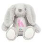 Personalised Bunny Rabbit Baby Girl Teddy, thumbnail 2 of 3