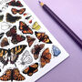 Butterflies Of Britain Illustrated Postcard, thumbnail 9 of 10