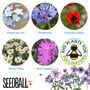Wildflower And Herb Seeds Create Your Own Gift Set, thumbnail 8 of 12