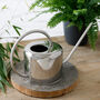 Indoor Watering Can, thumbnail 2 of 2