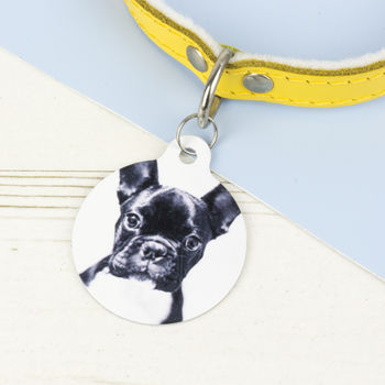 Photograph Pet ID Tag, 5 of 6