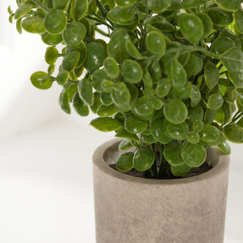 Faux Basil Plant In Stone Effect Pot, 3 of 5