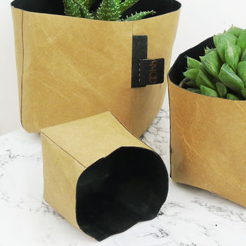 Natural Creased Paper Planter, 3 of 6