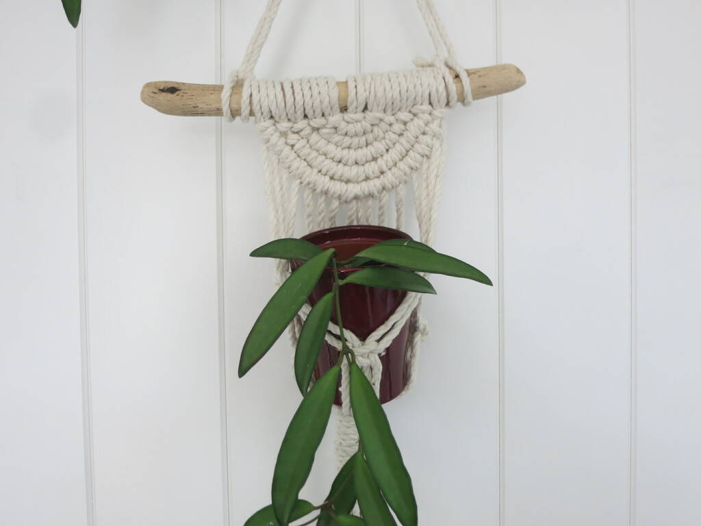 Image of Semi Circular Mini Macrame Plant Hanger