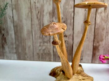 Wooden Mushroom Statue Teak Root Toadstool Nature Gift, 2 of 10
