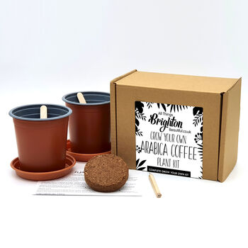 Grow Your Own Coffee Plant Kit, 3 of 3