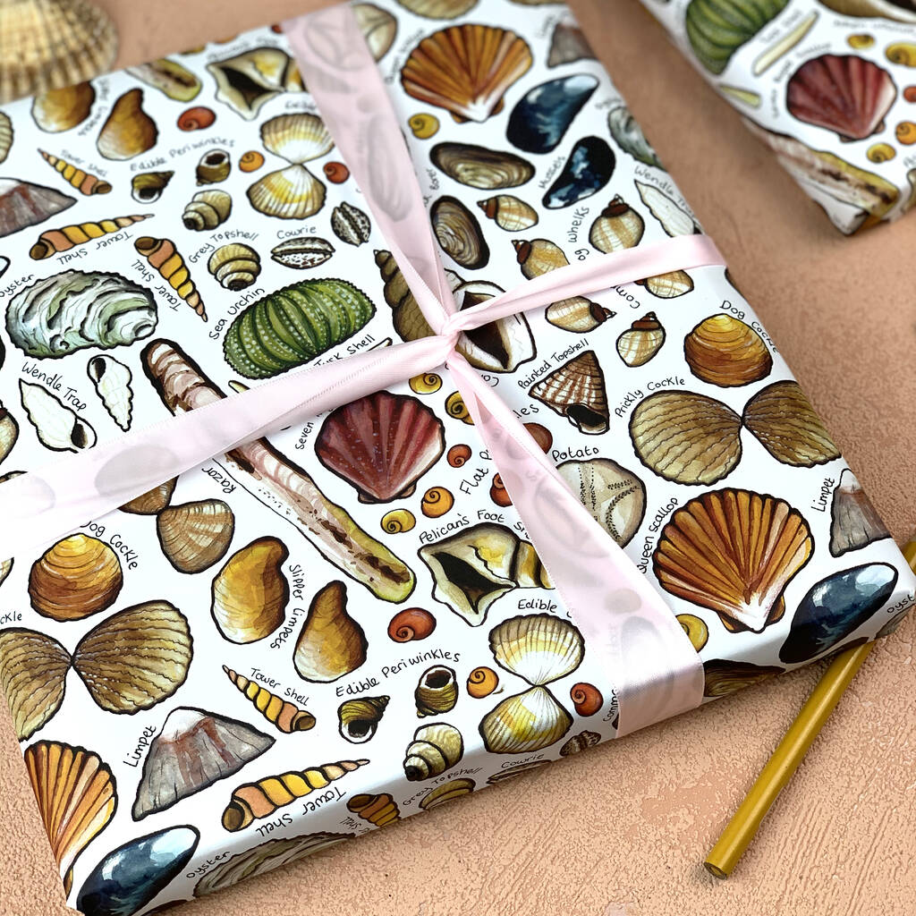 Seashell contact paper image