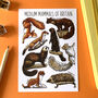 Medium Mammals Of Britain Watercolour Postcard, thumbnail 1 of 11