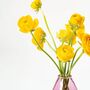 Sunshine Yellow Ranunculus Fresh Flower Bouquet, thumbnail 3 of 3