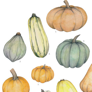 Pumpkin Watercolour Print, 3 of 3