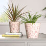 Set Of Two Red Floral Plant Pots, thumbnail 1 of 6
