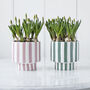 Stripe Plant Pot, thumbnail 1 of 2
