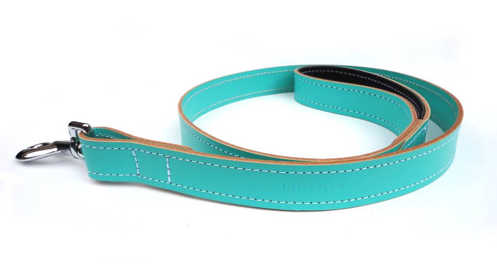 Mint Green Leather Dog Collar By Ditsy Pet