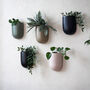 Tall Colourful Wall Planters, thumbnail 5 of 7