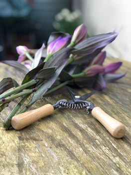 Personalised Wood Handled Flower Scissors, 2 of 3