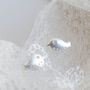 Little Robin Sterling Silver Earrings In A Gift Box, thumbnail 3 of 10