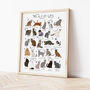 The A To Z Of Cats Print, thumbnail 3 of 6