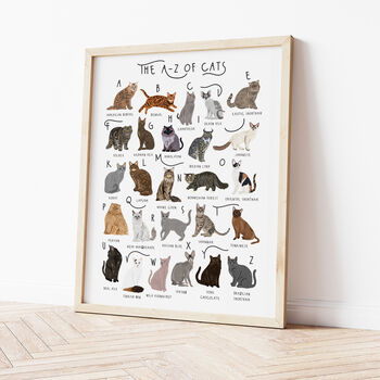 The A To Z Of Cats Print, 3 of 6