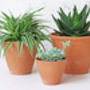 Terracotta Plant Pots Set Of Three Tapered, thumbnail 1 of 6