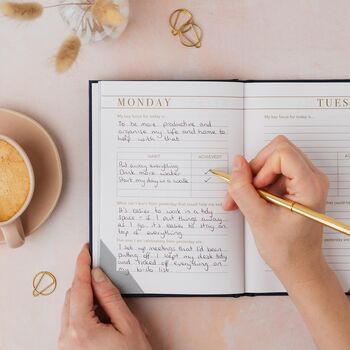 Habit Notes Journal | 12 Week Undated Habit Tracking Wellness Journal With Daily And Weekly Habit Trackers, Self Reflection, Goal Setting, 4 of 8