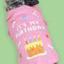 'It's My Birthday' Pink Dog T Shirt, thumbnail 1 of 5