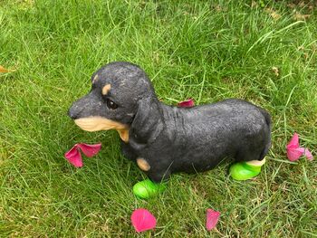 Dachshund Garden Ornament With Green Boots Sausage Dog, 8 of 9