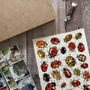 Ladybirds Of Britain Art Blank Greeting Card, thumbnail 4 of 11