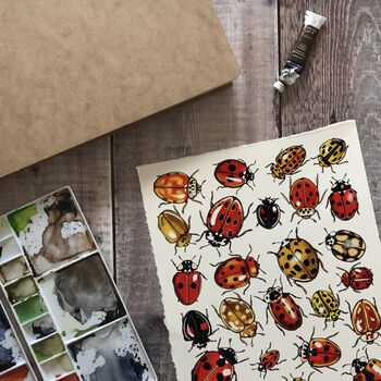 Ladybirds Of Britain Art Blank Greeting Card, 4 of 11