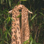 Fauve Leopard Animal Print Scarf, thumbnail 3 of 5