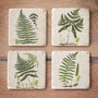 Set Of Four Botanical Coasters, thumbnail 1 of 3
