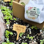 Personalised Gardening Kit, thumbnail 7 of 9