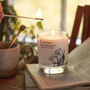 Curiouser And Curiouser Alice In Wonderland Candle Gift, thumbnail 1 of 6