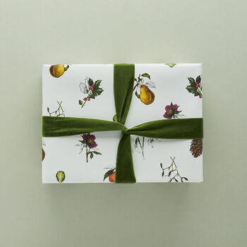 Christmas Wrapping Paper, The Botanist Archive: No. Two, 4 of 5