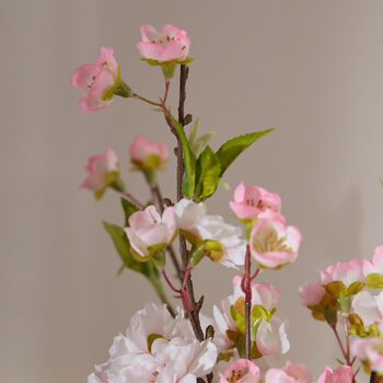Pink Blossom Spray In Geometric Vase, 4 of 6