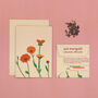 Pot Marigold Greeting Card With Seeds, thumbnail 1 of 6