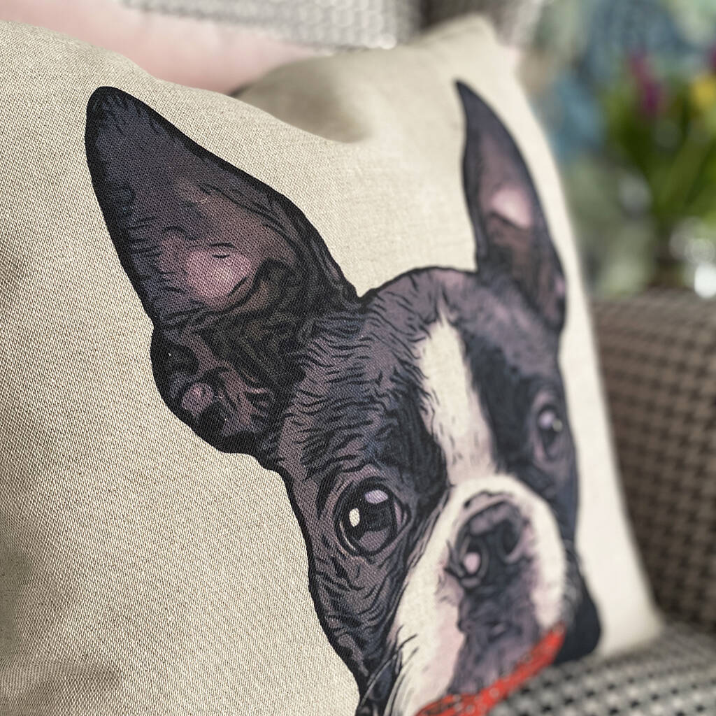 Boston Terrier Feature Cushion By Keylime Design | notonthehighstreet.com