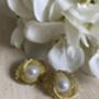 Gold Sunburst Pearl Stud Earrings, thumbnail 1 of 6