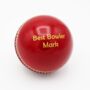Personalised Vintage Leather Cricket Ball, thumbnail 2 of 9