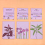 Illustrated Greetings Card With Purple Basil Seeds, thumbnail 5 of 5