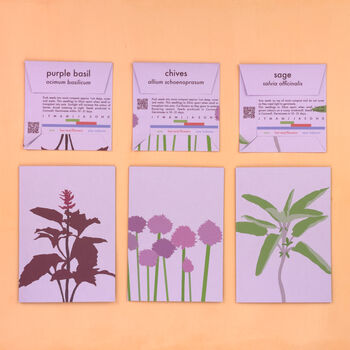 Illustrated Greetings Card With Purple Basil Seeds, 5 of 5